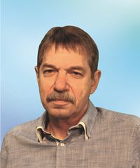 Гробман Владимир Земович